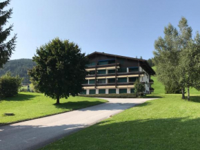 Sonnleiten Apartment, Hinterthal, Österreich
